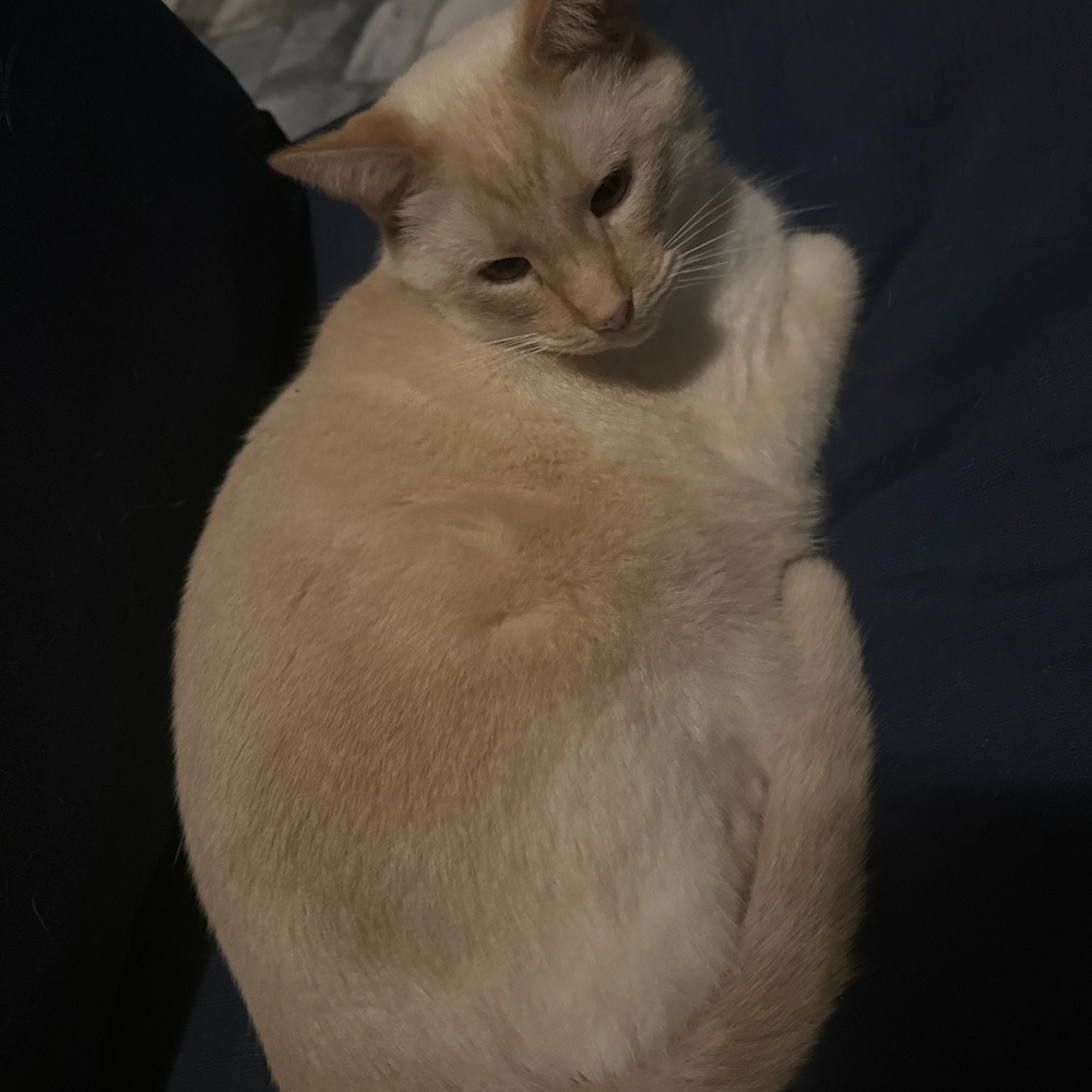 Meet your Posher, Olivia